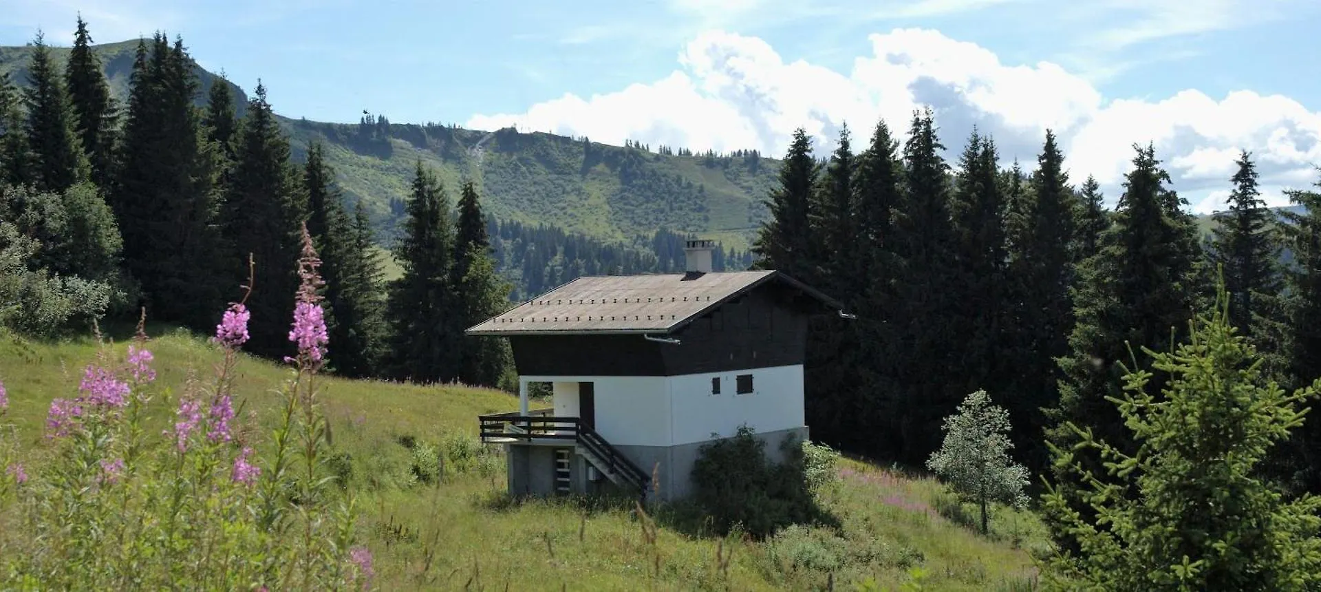 Chalet D' Egloo 10-12 Pers Samoëns Franciaország